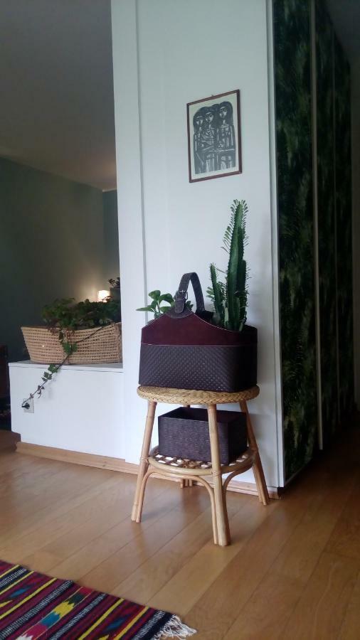 Garden Studio 55 S.M. Atene Esterno foto
