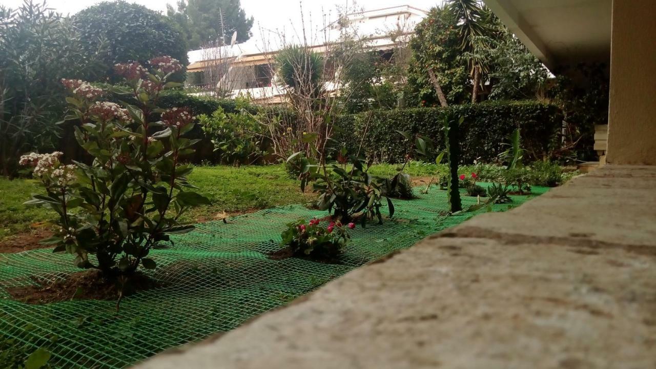 Garden Studio 55 S.M. Atene Esterno foto